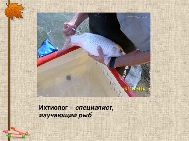 Ихтиолог – специалист, изучающий рыб .
