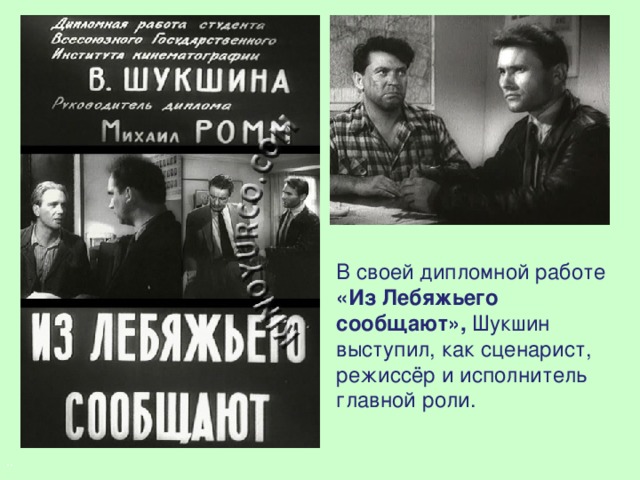 В своей дипломной работе «Из Лебяжьего сообщают», Шукшин выступил, как сценарист, режиссёр и исполнитель главной роли.   ..