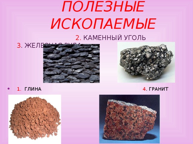 Полезные ископаемые  2. Каменный уголь 3 . Железная руда