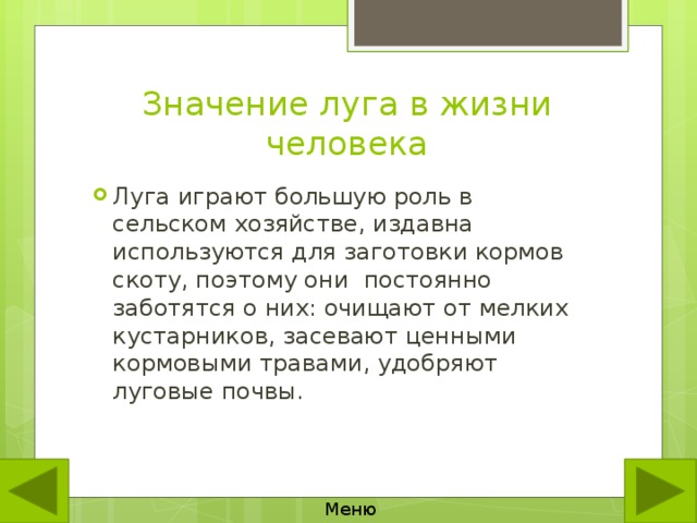 Презентация по окружающему миру 4 класс жизнь луга