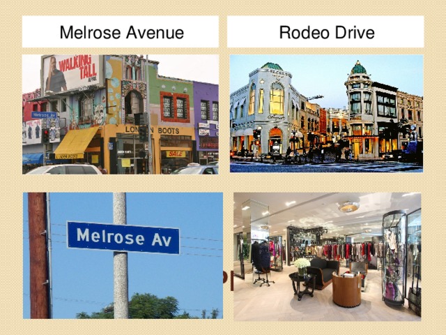 Melrose Avenue Rodeo Drive SHOPPING