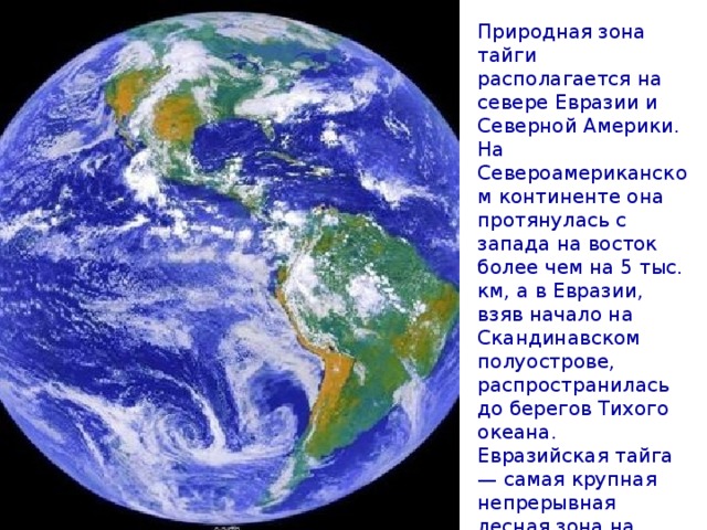 Природная зона тайги располагается на севере Евразии и Северной Америки. На Североамериканском континенте она протянулась с запада на восток более чем на 5 тыс. км, а в Евразии, взяв начало на Скандинавском полуострове, распространилась до берегов Тихого океана. Евразийская тайга — самая крупная непрерывная лесная зона на Земле. Она занимает более 60% территории Российской Федерации. [...]