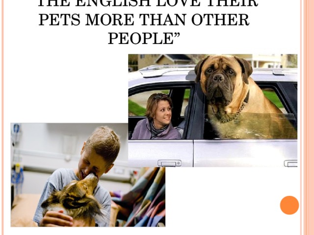 “ THE ENGLISH LOVE THEIR PETS MORE THAN OTHER PEOPLE”