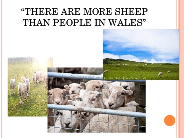 “ THERE ARE MORE SHEEP THAN PEOPLE IN WALES”