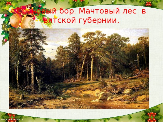 Сосновый бор. Мачтовый лес в вятской губернии.