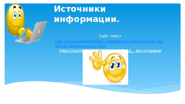 Источники информации.   Сайт текст http://www.sadowodstwo.ru/poleznye-rasteniya/225-repeshok-obyknovennyy.html https://yandex.ru/images/search?img_- фотографии