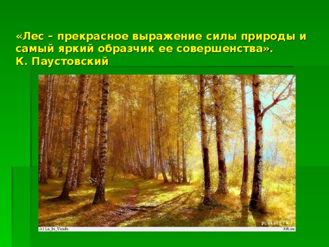 «Лес – прекрасное выражение силы природы и самый яркий образчик ее совершенства».  К. Паустовский