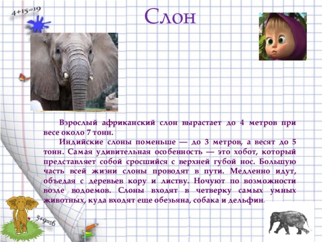 Слон рассказ окружающий мир. Описание слона. Слон : рассказы. Рассказ о слонах. Небольшой рассказ про слоненка.