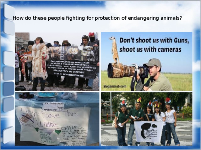 How do these people fighting for protection of endangering animals?