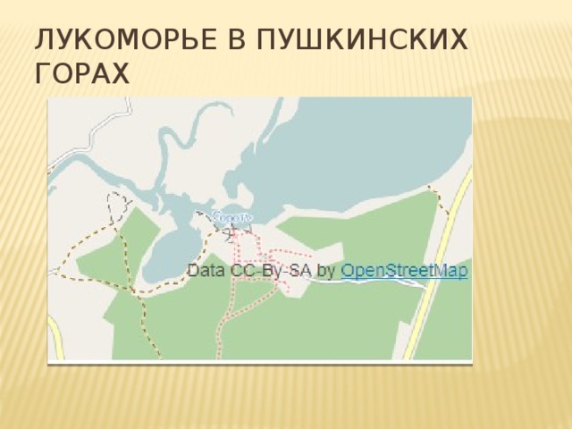 Лукоморье в Пушкинских горах