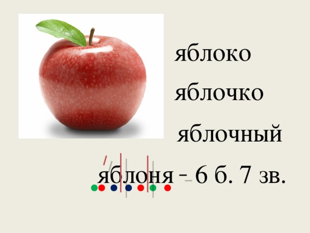 яблоко яблочко яблочный 6 б. 7 зв. яблоня