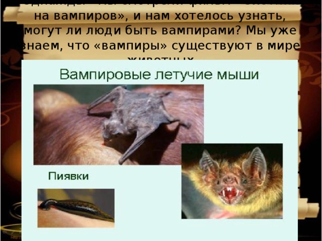 Однажды мы смотрели фильм «Охотник на вампиров», и нам хотелось узнать, могут ли люди быть вампирами? Мы уже знаем, что «вампиры» существуют в мире животных 3/12/17  http://aida.ucoz.ru