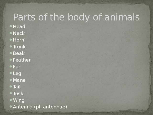 Parts of the body of animals