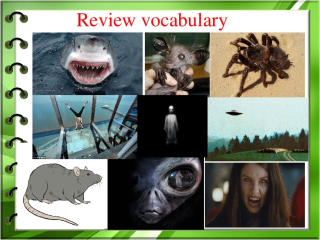 Review vocabulary