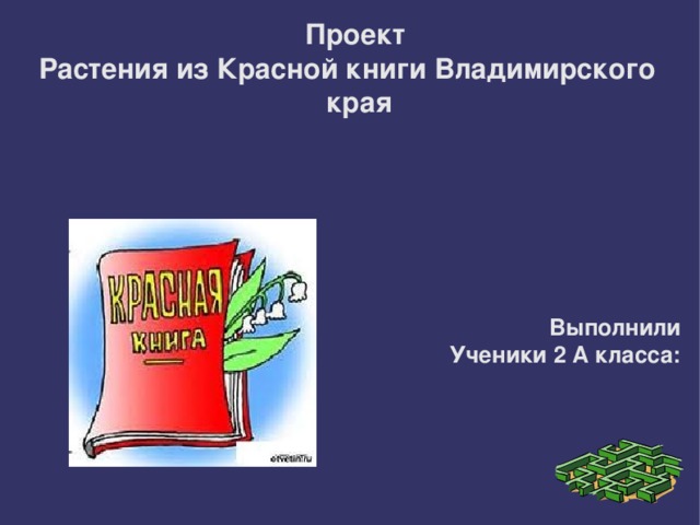 Проект Растения из Красной книги Владимирского края        Выполнили Ученики 2 А класса: