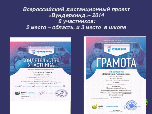 Всероссийский дистанционный проект  «Вундеркинд»- 2014  8 участников:  2 место – область, и 3 место в школе