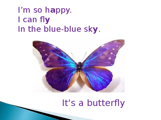 I’m so h a ppy. I can fl y In the blue-blue sk y . It’s a butterfly