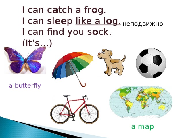 I can c a tch a fr o g. I can sl ee p l i ke a l o g. I can find you s o ck. (It’s…) неподвижно a butterfly a map