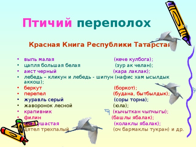 Птичий  переполох Красная Книга Республики Татарстан: