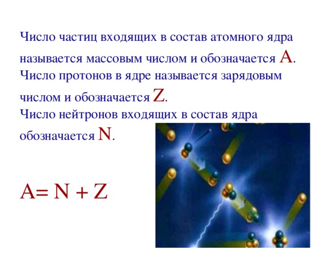 Число частиц входящих в состав атомного ядра называется массовым числом и обозначается A .  Число протонов в ядре называется зарядовым числом и обозначается Z .  Число нейтронов входящих в состав ядра обозначается N .    A = N + Z