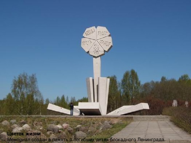 Цветок жизни  Мемориал создан в память о погибших детях блокадного Ленинграда.