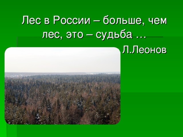 Лес в России – больше, чем лес, это – судьба …        Л.Леонов