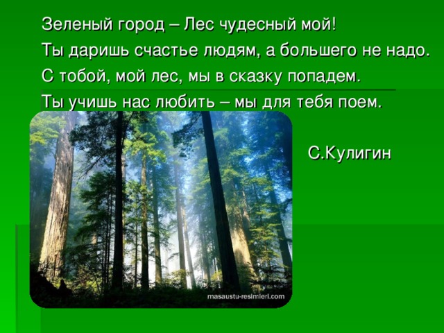 Зеленый город – Лес чудесный мой! Ты даришь счастье людям, а большего не надо. С тобой, мой лес, мы в сказку попадем. Ты учишь нас любить – мы для тебя поем.        С.Кулигин