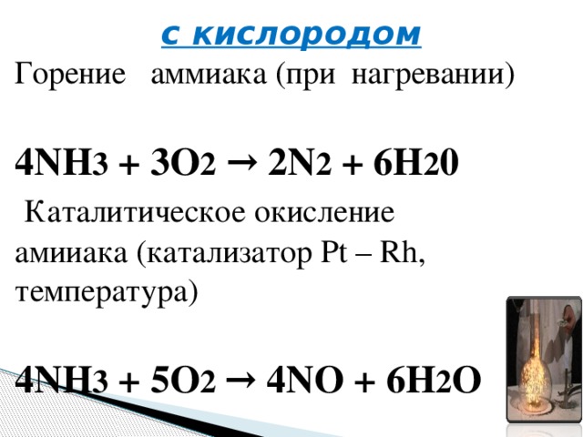 с кислородом Горение аммиака (при нагревании) 4NH 3  + 3O 2  → 2N 2  + 6H 2 0   Каталитическое окисление амииака (катализатор Pt – Rh, температура) 4NH 3  + 5O 2  → 4NO + 6H 2 O