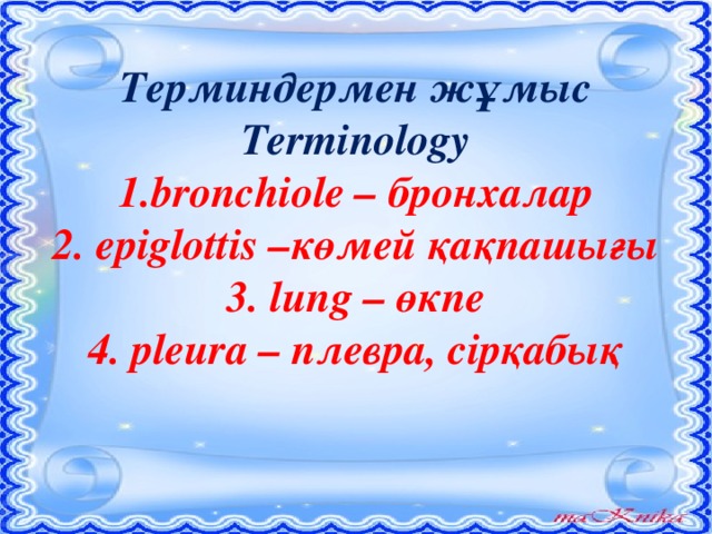 Терминдермен жұмыс  Terminology  1.bronchiole – бронхалар  2. epiglottis –көмей қақпашығы  3. lung – өкпе  4. pleura – плевра, сірқабық