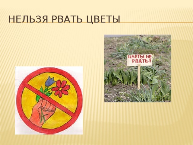 Почему нельзя в огороде. Нельзя рвать цветы. Знак не рви растения. Рвать цветы запрещено. Знак нельзя срывать растения.