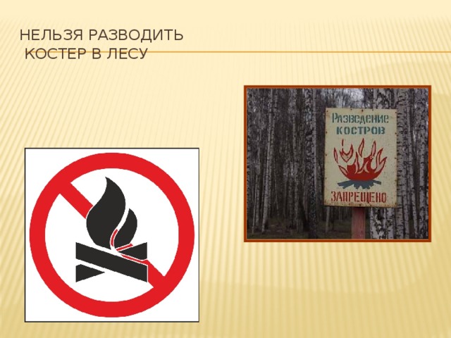 Разводить костер в лесу запрещено. Нельзя разжигать огонь в лесу. Запрещено разводить костры. Знак нел ЗЯ разжигать коатре. Нельзя разжигать костер.