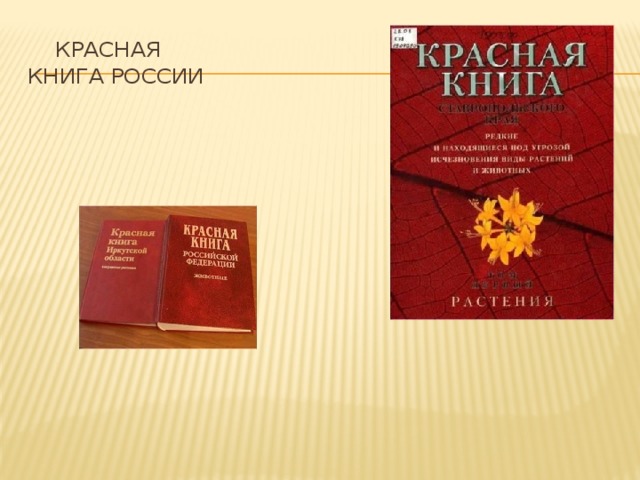 Красная  книга России