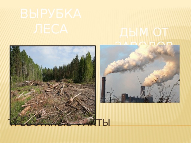Вырубка леса Дым от заводов Тревожные факты