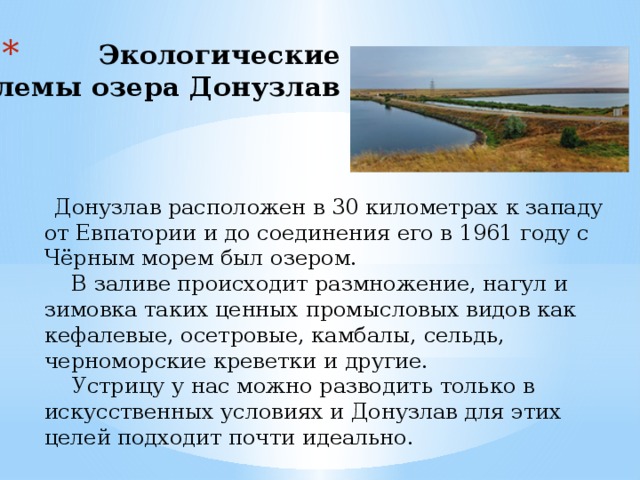 Экологические проблемы озера Донузлав