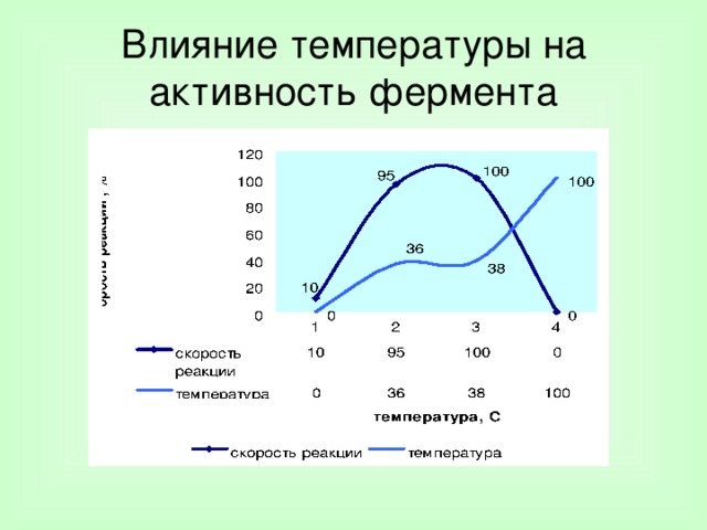 Влияние температуры на активность ферментов. Влияние температуры на активность амилазы. Факторы влияющие на активность ферментов. Влияние температуры на активность фермента амилазы.