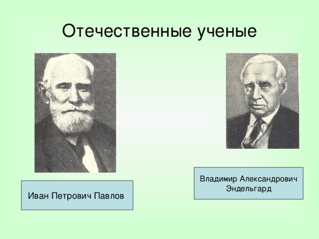 Отечественные ученые Владимир Александрович Эндельгард Иван Петрович Павлов