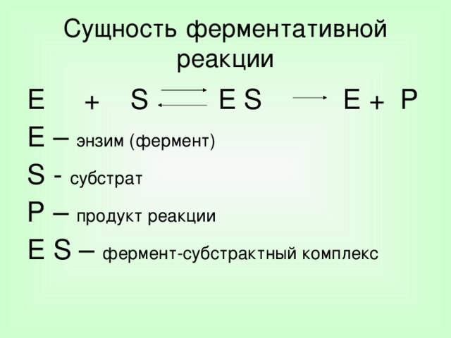Сущность ферментативной реакции E +  S E S   E + Р E – энзим ( фермент) S - субстрат Р – продукт реакции E S – фермент-субстрактный комплекс