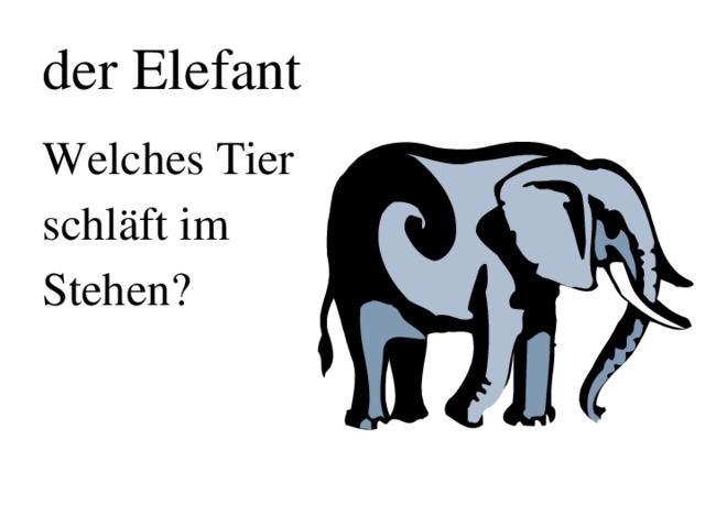 der Elefant Welches Tier schläft im Stehen?