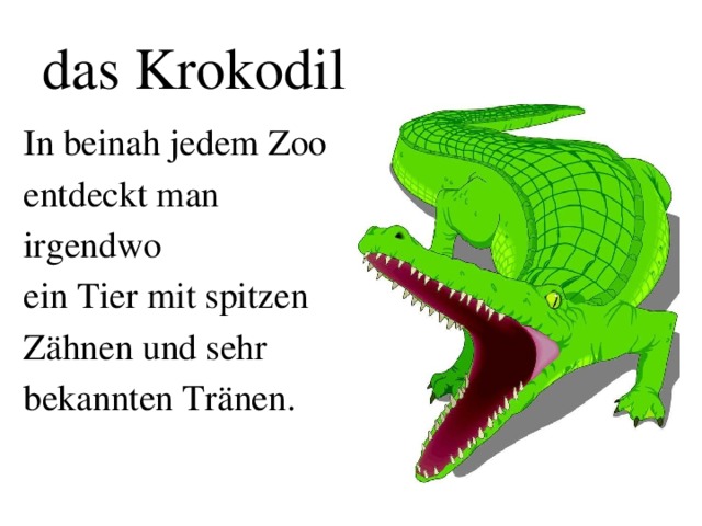 das Krokodil In beinah jedem Zoo entdeckt man irgendwo ein Tier mit spitzen Zähnen und sehr bekannten Tränen.