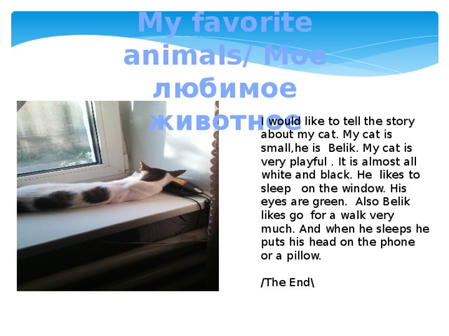 My favorite animals/ Мое любимое животное I would like to tell the story about my cat. My cat is small,he is Belik. My cat is very playful . It is almost all white and black. Hе likes to sleep on the window. His eyes are green. Also Belik likes go for a walk very much. And when he sleeps he puts his head on the phone or a pillow.  /The End\