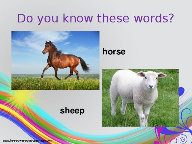Do you know these words? horse sheep