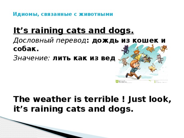 Идиомы, связанные с животными   It’s raining cats and dogs. Дословный перевод : дождь из кошек и собак. Значение: лить как из ведра.    The weather is terrible ! Just look, it’s raining cats and dogs.