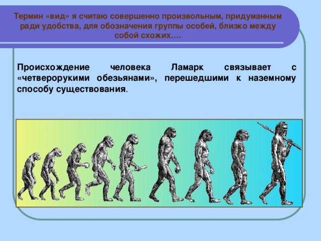 Термин «вид» я считаю совершенно произвольным, придуманным ради удобства, для обозначения группы особей, близко между собой схожих….  Происхождение человека Ламарк связывает с «четверорукими обезьянами», перешедшими к наземному способу существования .