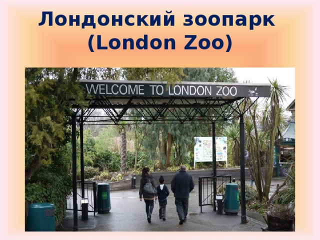 Лондонский зоопарк  ( London Zoo)