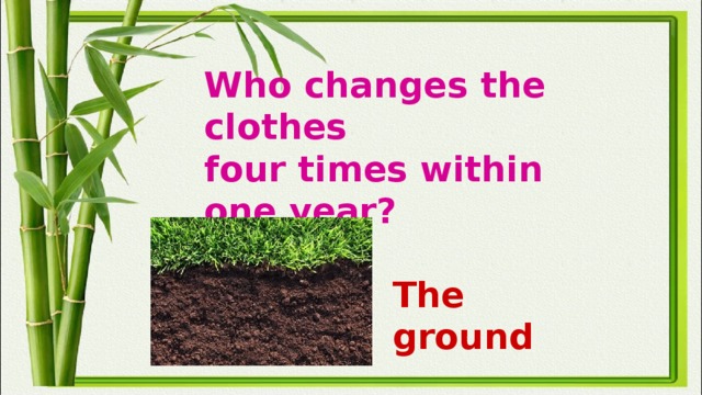 Who changes the clothes  four times within one year? The ground