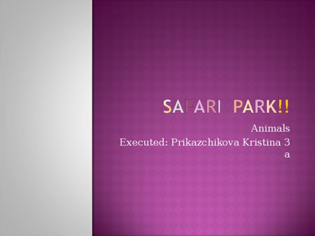 Animals Executed: Prikazchikova Kristina 3 a