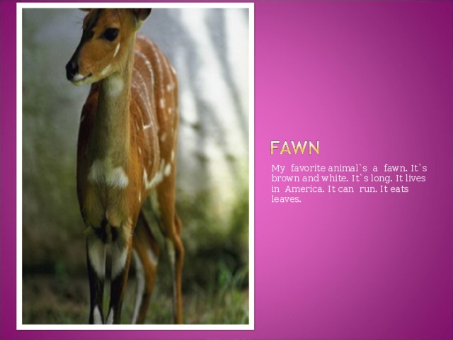 My favorite animal`s a fawn. It`s brown and white. It`s long. It lives in America. It can run. It eats leaves.