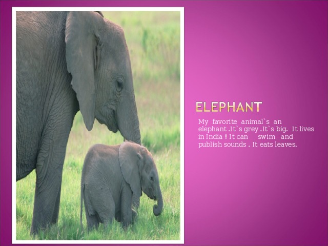 My favorite animal`s an elephant .It`s grey .It`s big. It lives in India ! It can swim and publish sounds . It eats leaves.