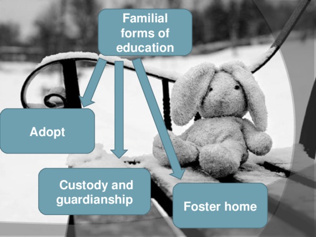 Familial forms of education Adopt  Custody and guardianship Foster home