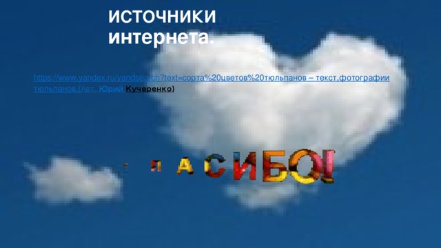 ИСТОЧНИКИ интернета.   https://www.yandex.ru/yandsearch?text=сорта%20цветов%20тюльпанов – текст,фотографии тюльпанов.( Авт.   Юрий Кучеренко )